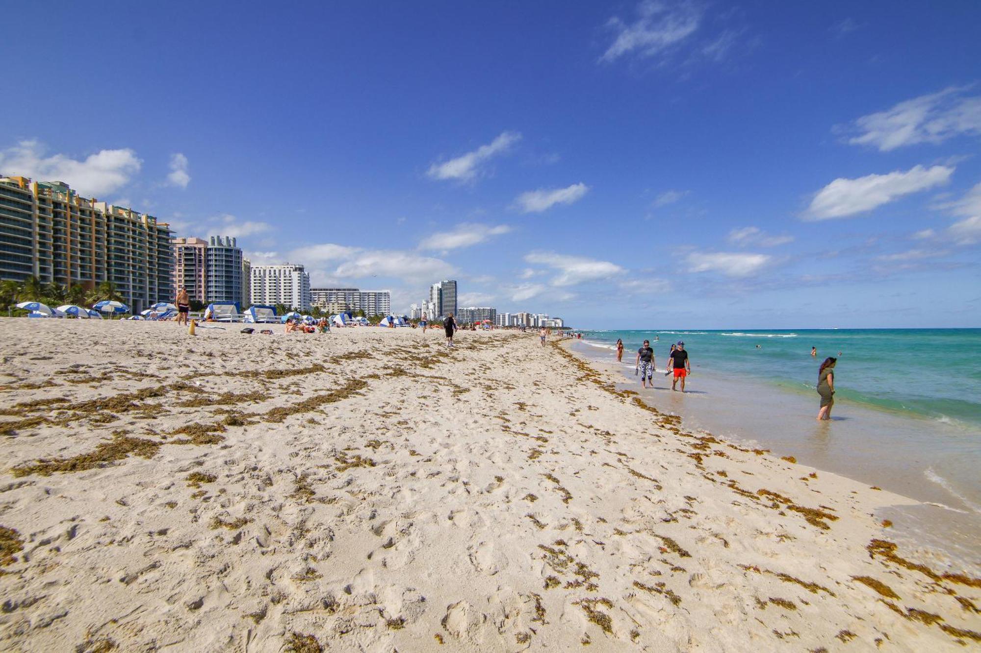 Deco Beachside Apt, W/2 Queen Beds, Washer/dryer Appartement